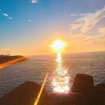 凤凰彩票手机app下载