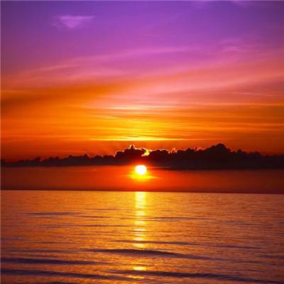 手游赏金女王免费下载