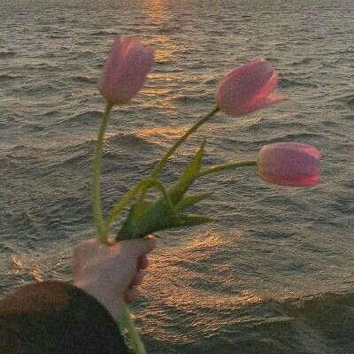 亚洲体育官网登录