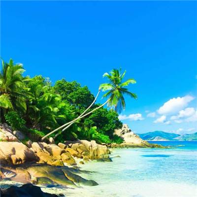 爱游戏全站APP下载手机app下载