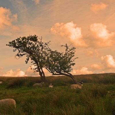 云开平台app最新版app下载