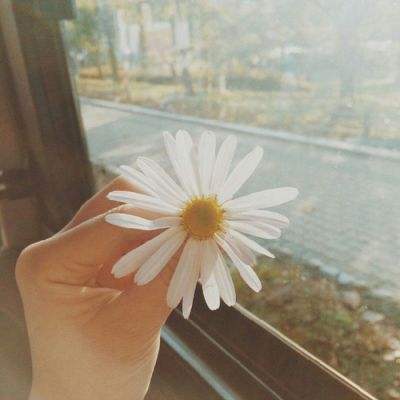 澳门新莆京游戏大厅手机app下载