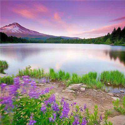 华体育手机app下载